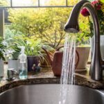 Modern home kitchen sink with plant and flower filled window box running water.