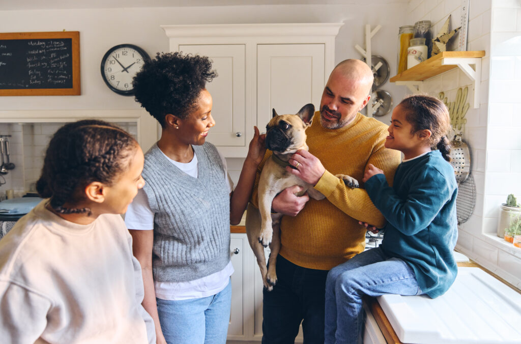 Family and boy with Down syndrome stroking pet dog French bulldog